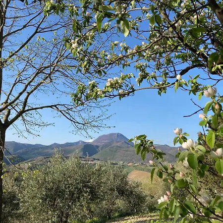 Gospodarstwo wiejskie Tenuta Sant'andrea
