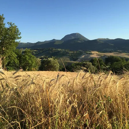 Tenuta Sant'andrea Gospodarstwo wiejskie *